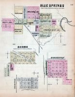 Blue Springs, Adams, Barneston, Holmesville, Nebraska State Atlas 1885